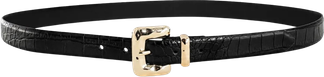 Accesorio 41100714